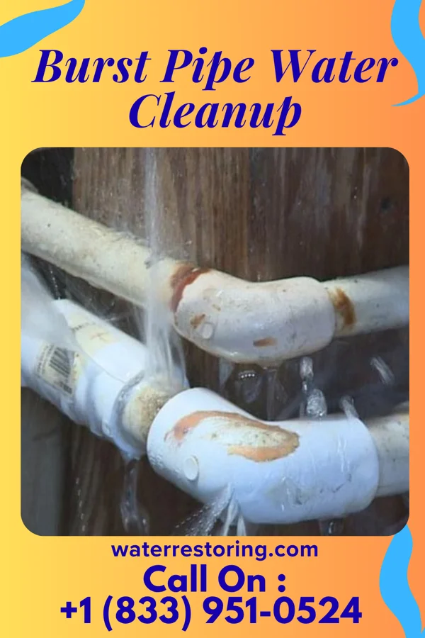 Burst Pipe Water Cleanup in Olmsted Falls, OH