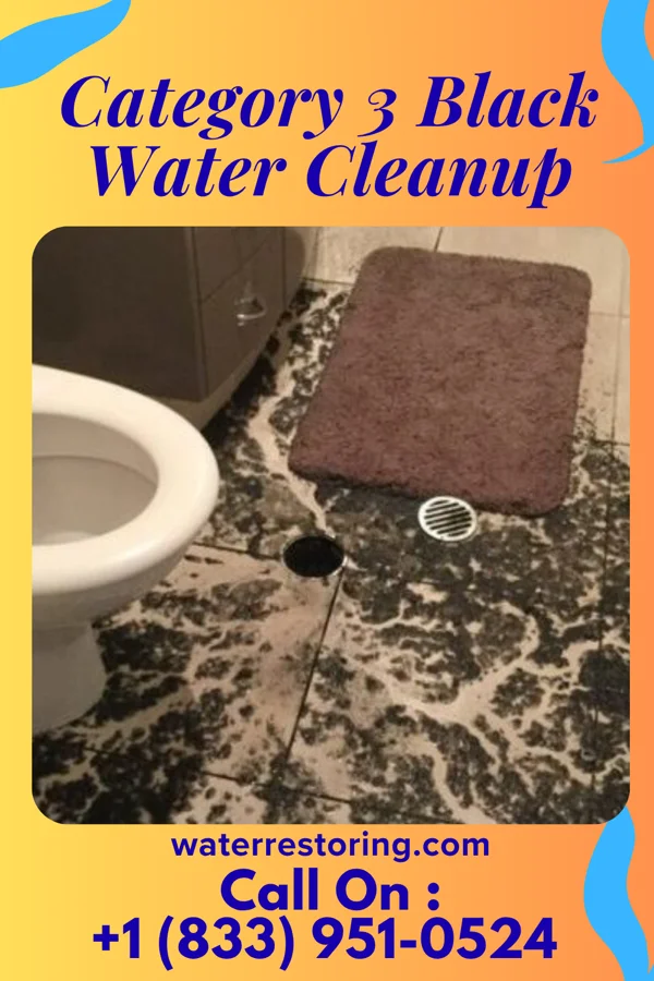Category 3 Black Water Cleanup in Olmsted Falls, OH