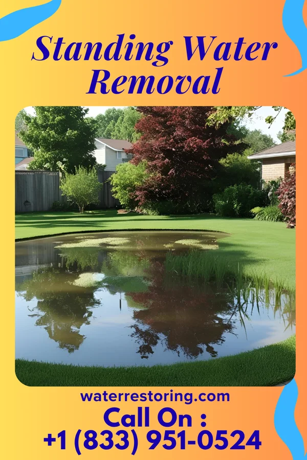 Standing Water Removal in Olmsted Falls, OH